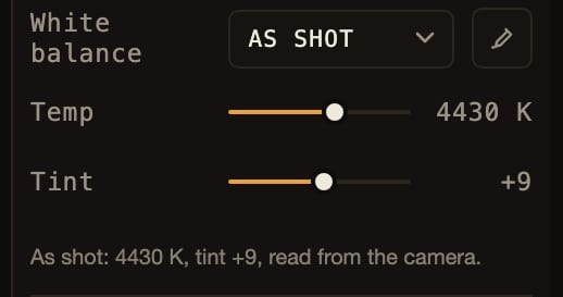 A close crop of the white balance block: the preset menu, the grey-point eyedropper, and the Kelvin and tint sliders anchored on the camera reading.